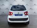Suzuki Ignis 1.2 iTop 66Kw (Man.) "PREZZO REALE" (F1191) Weiß - thumbnail 3