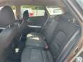 Kia Ceed / cee'd Edition 7 Braun - thumbnail 13