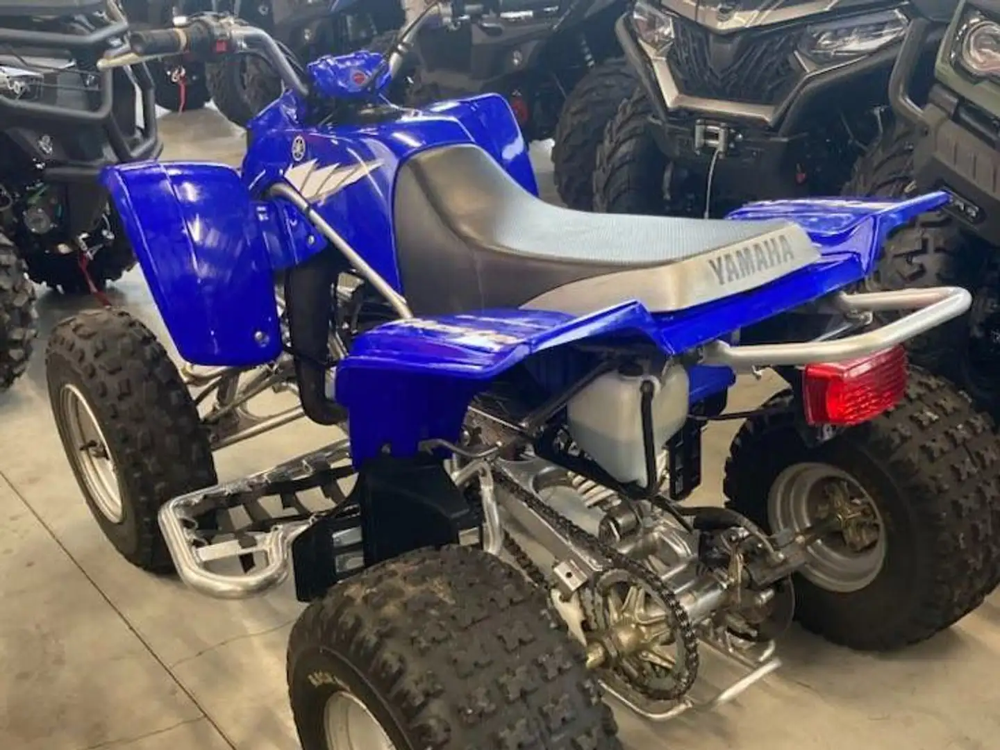 Yamaha YFS 200 Bleu - 2