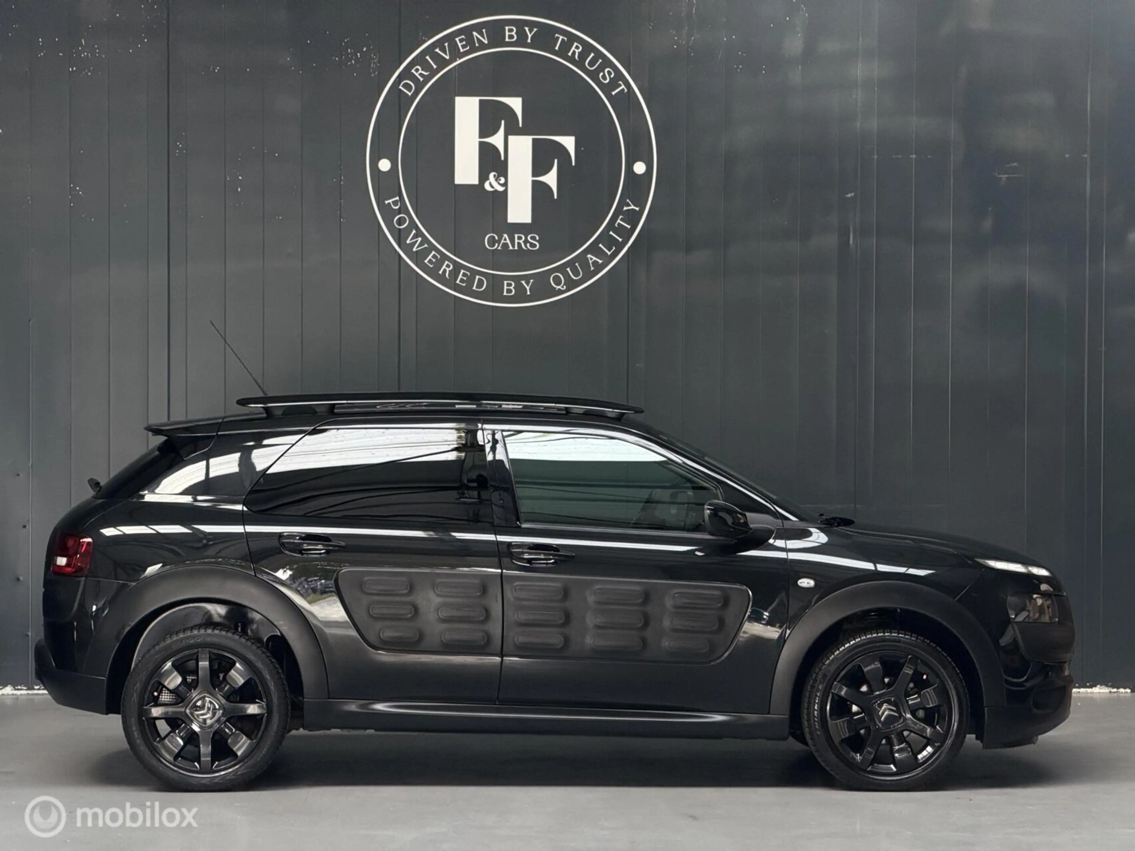 Citroen C4 Cactus 1.2 PureTech Shine — photo 11