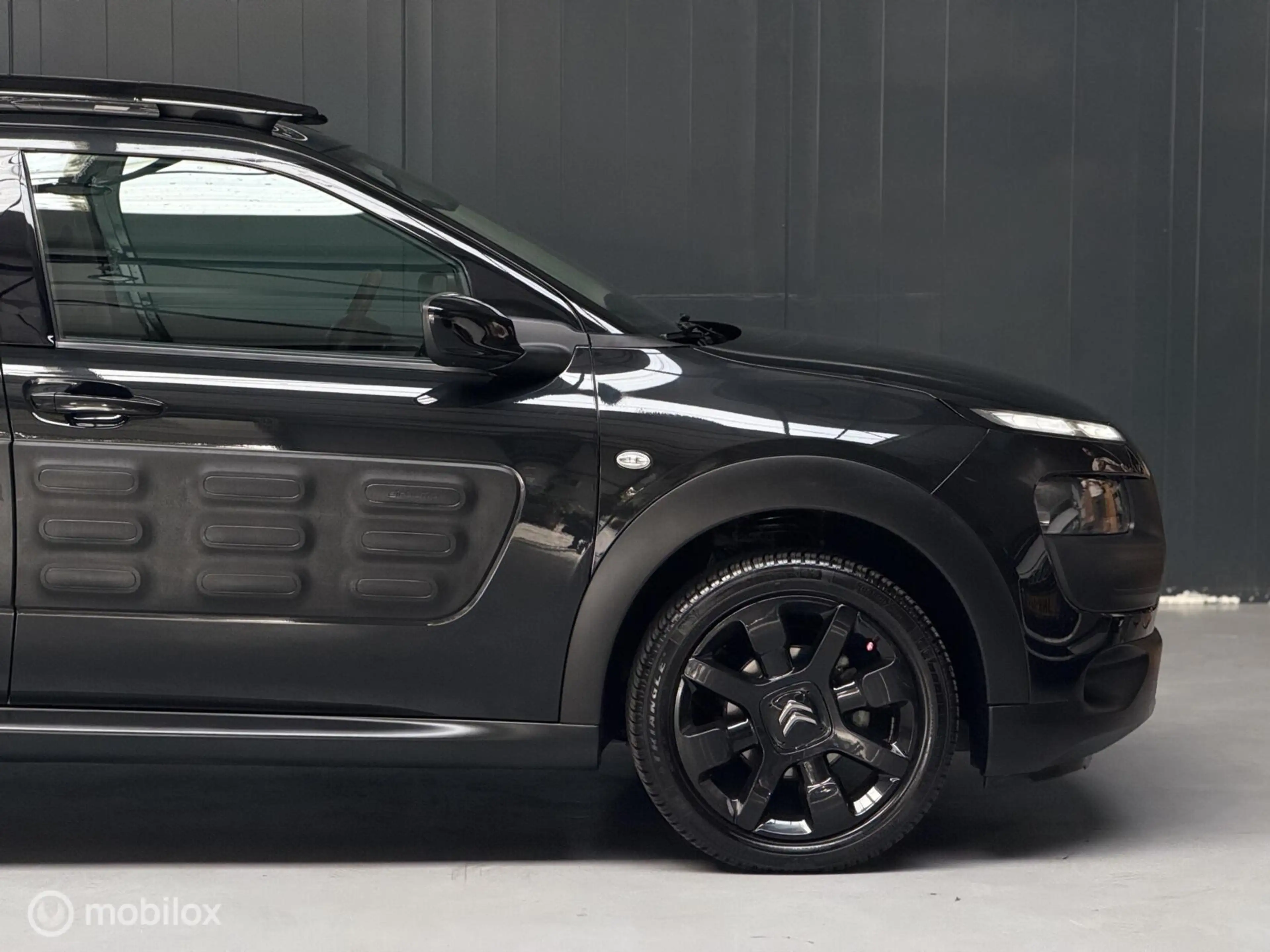 Citroen C4 Cactus 1.2 PureTech Shine — photo 12