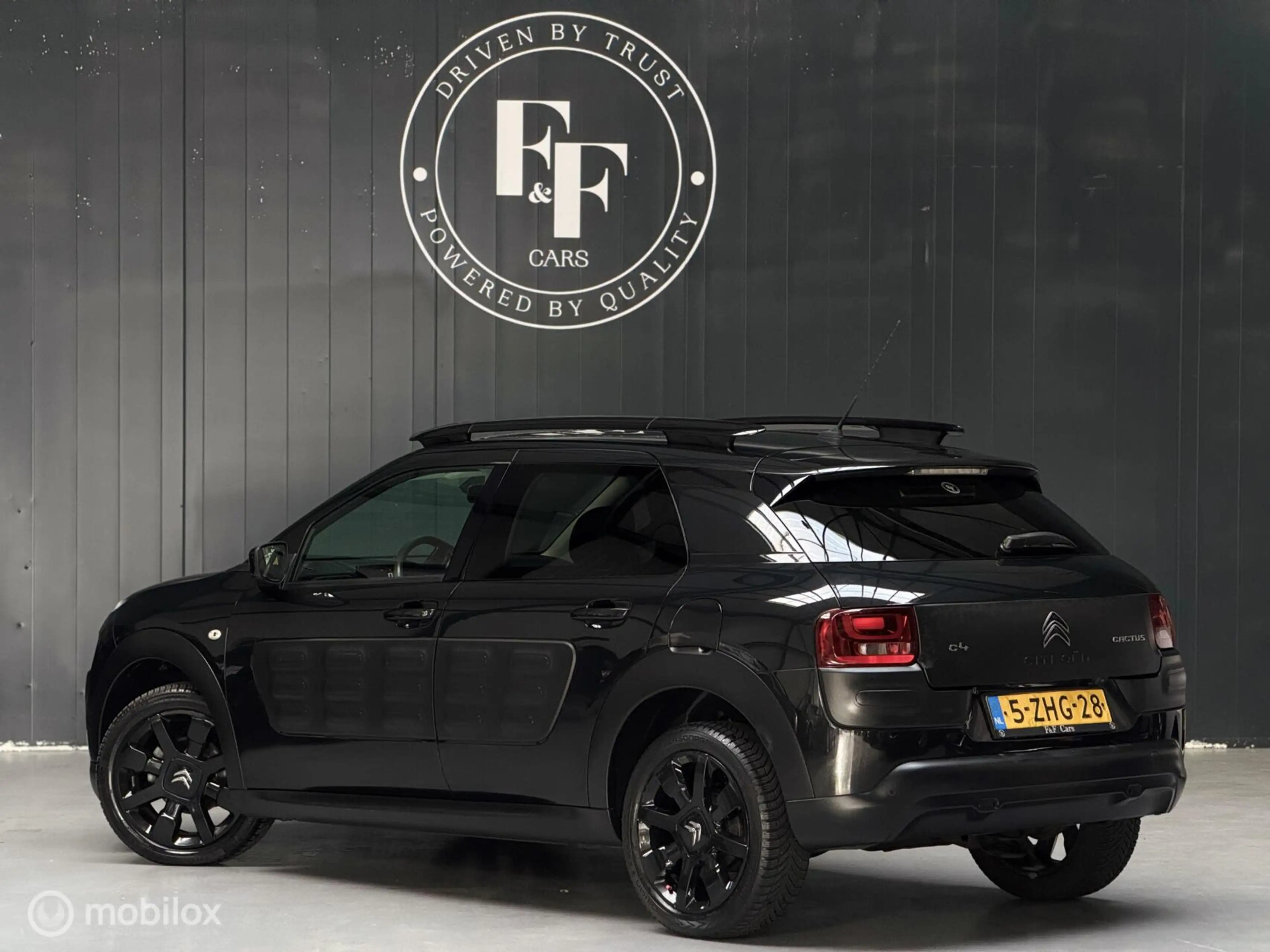Citroen C4 Cactus 1.2 PureTech Shine — photo 22