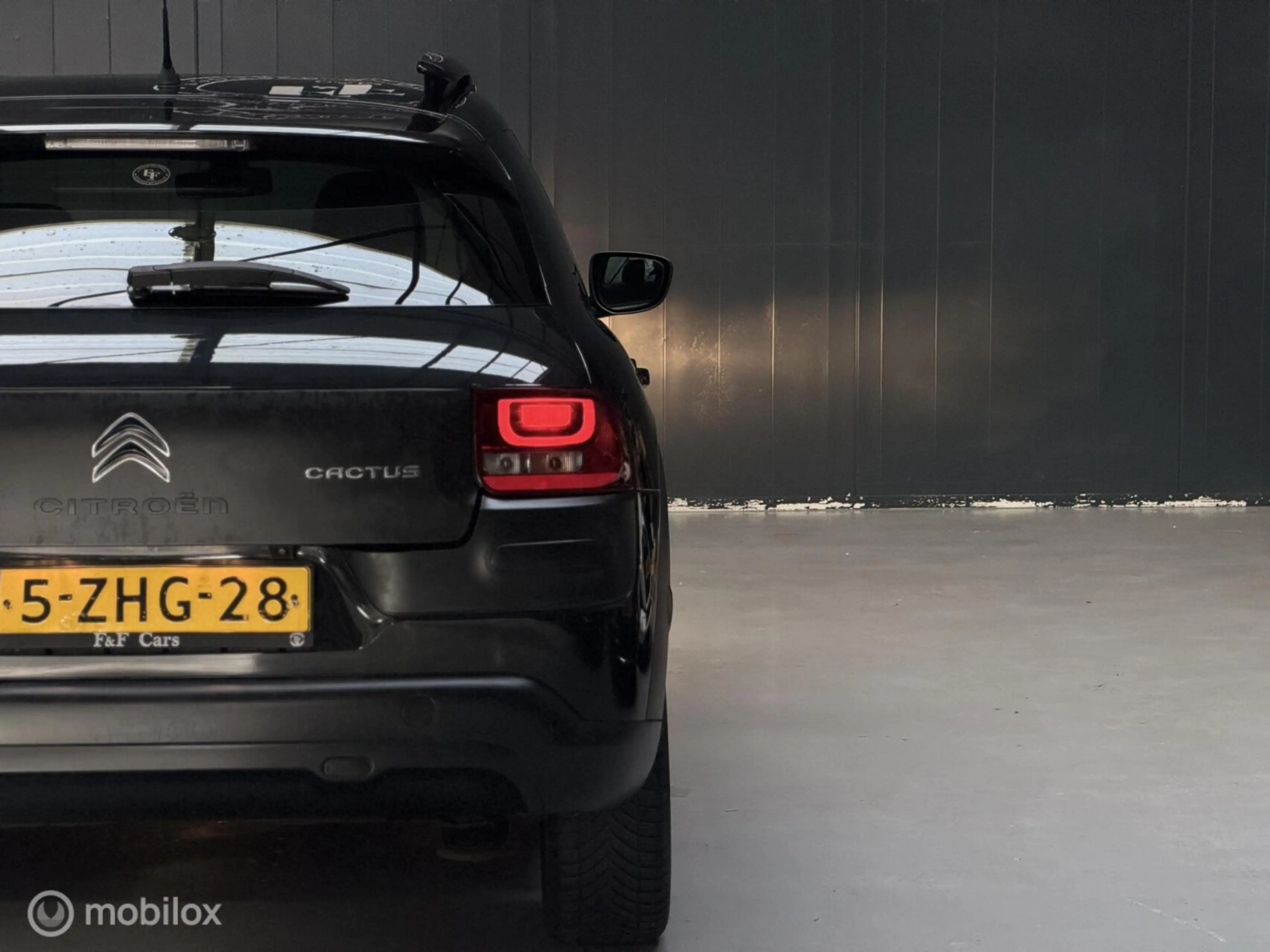 Citroen C4 Cactus 1.2 PureTech Shine — photo 21