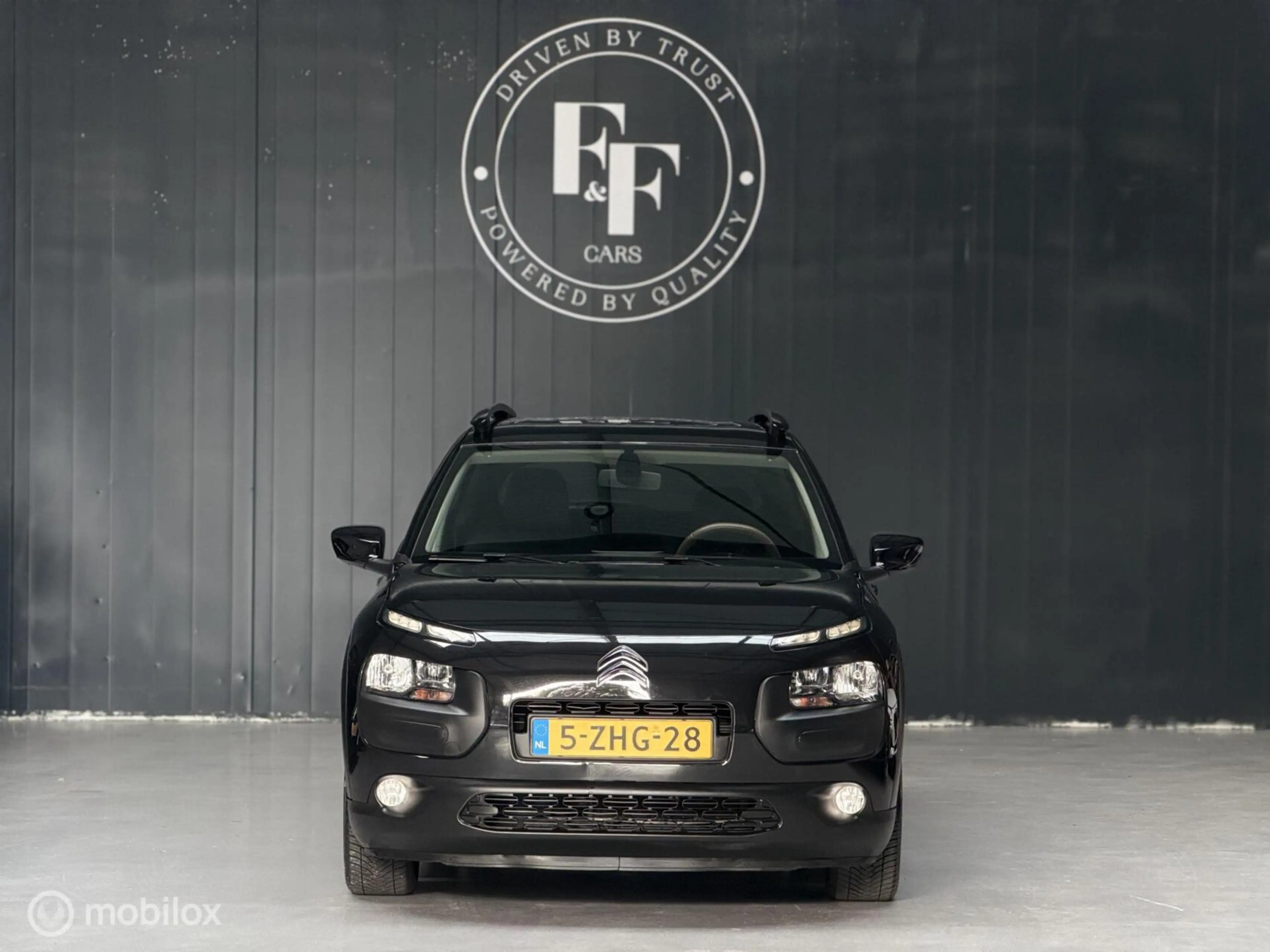 Citroen C4 Cactus 1.2 PureTech Shine — photo 6