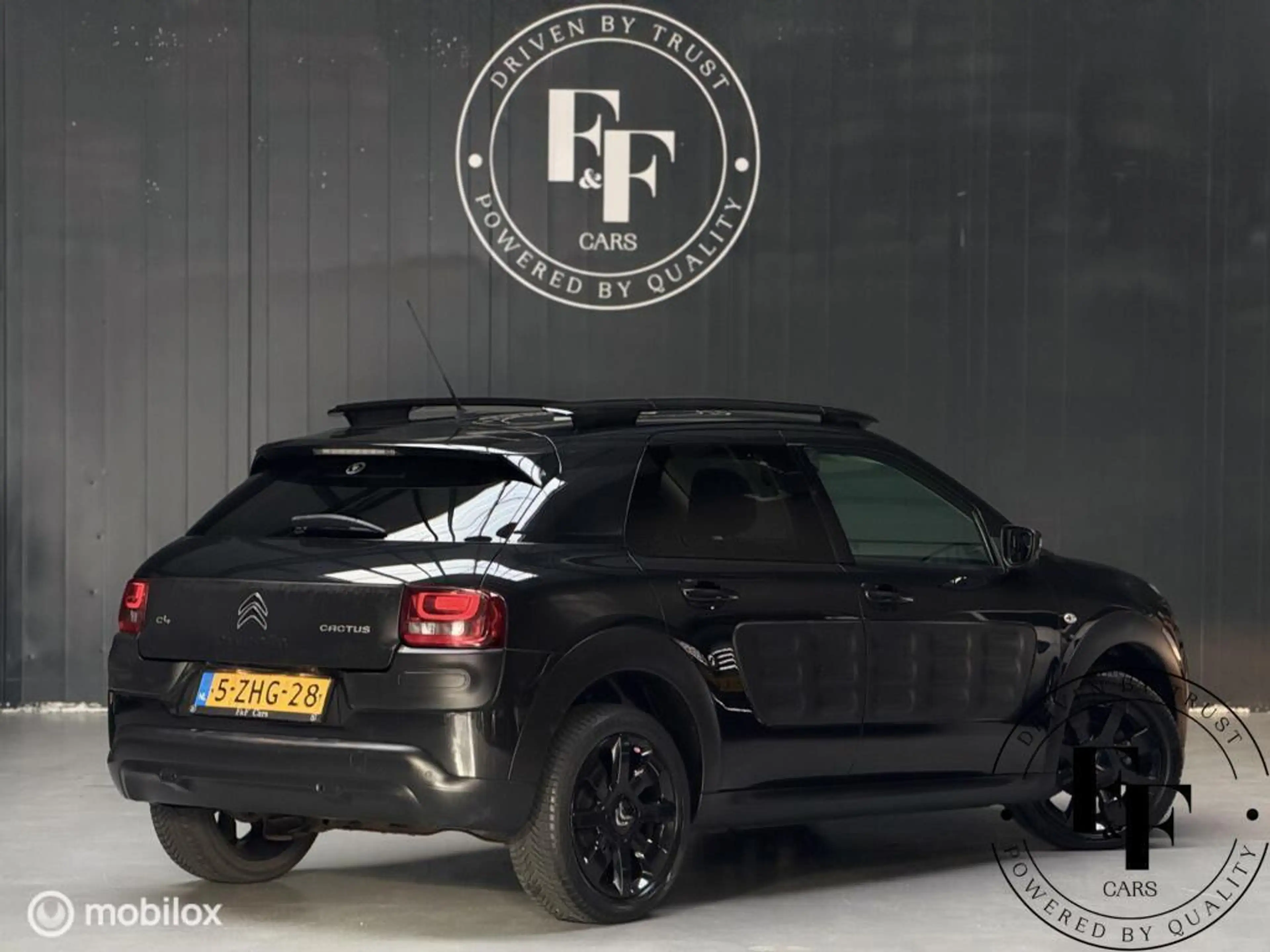 Citroen C4 Cactus 1.2 PureTech Shine — photo 17