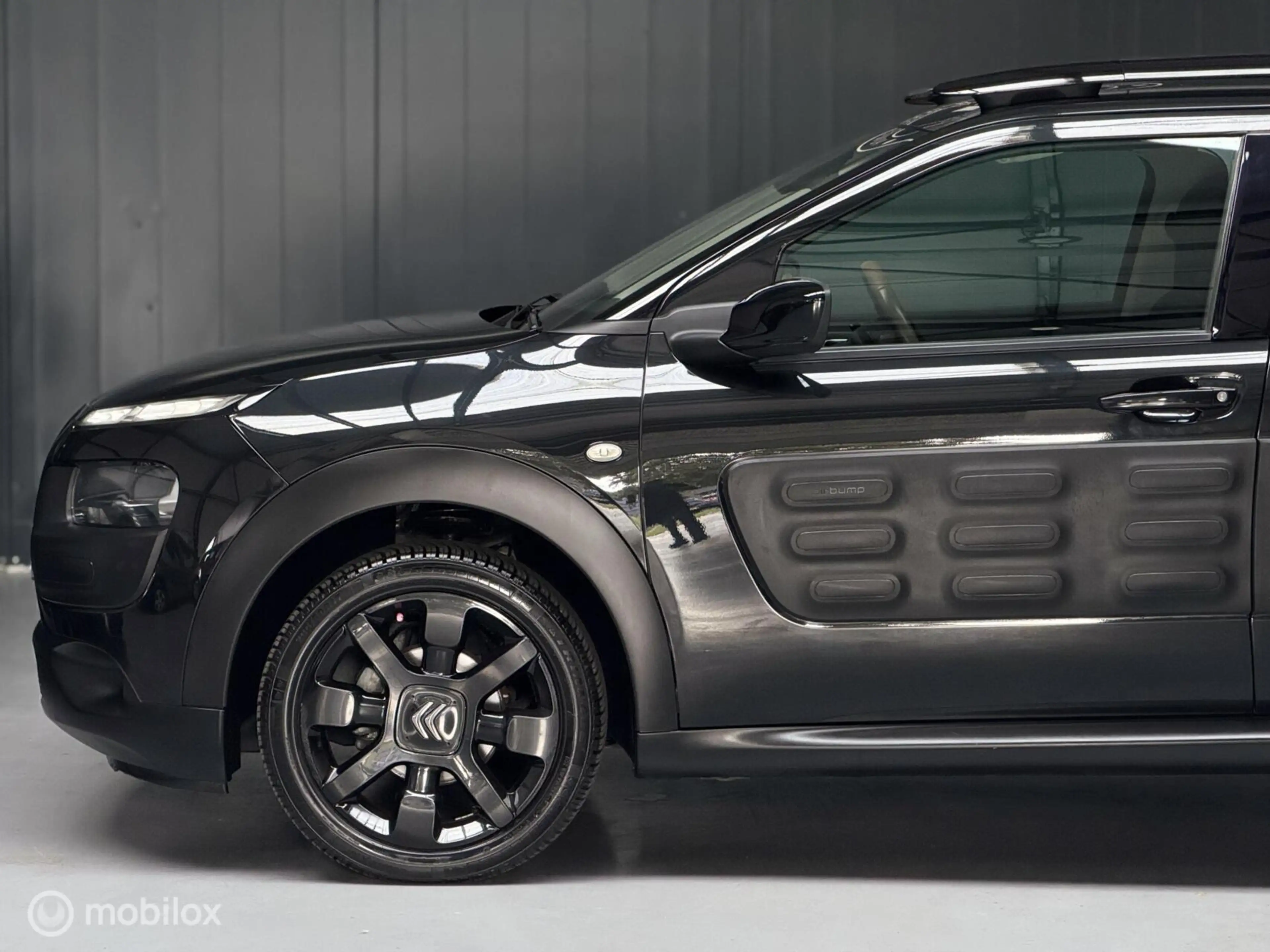 Citroen C4 Cactus 1.2 PureTech Shine — photo 15