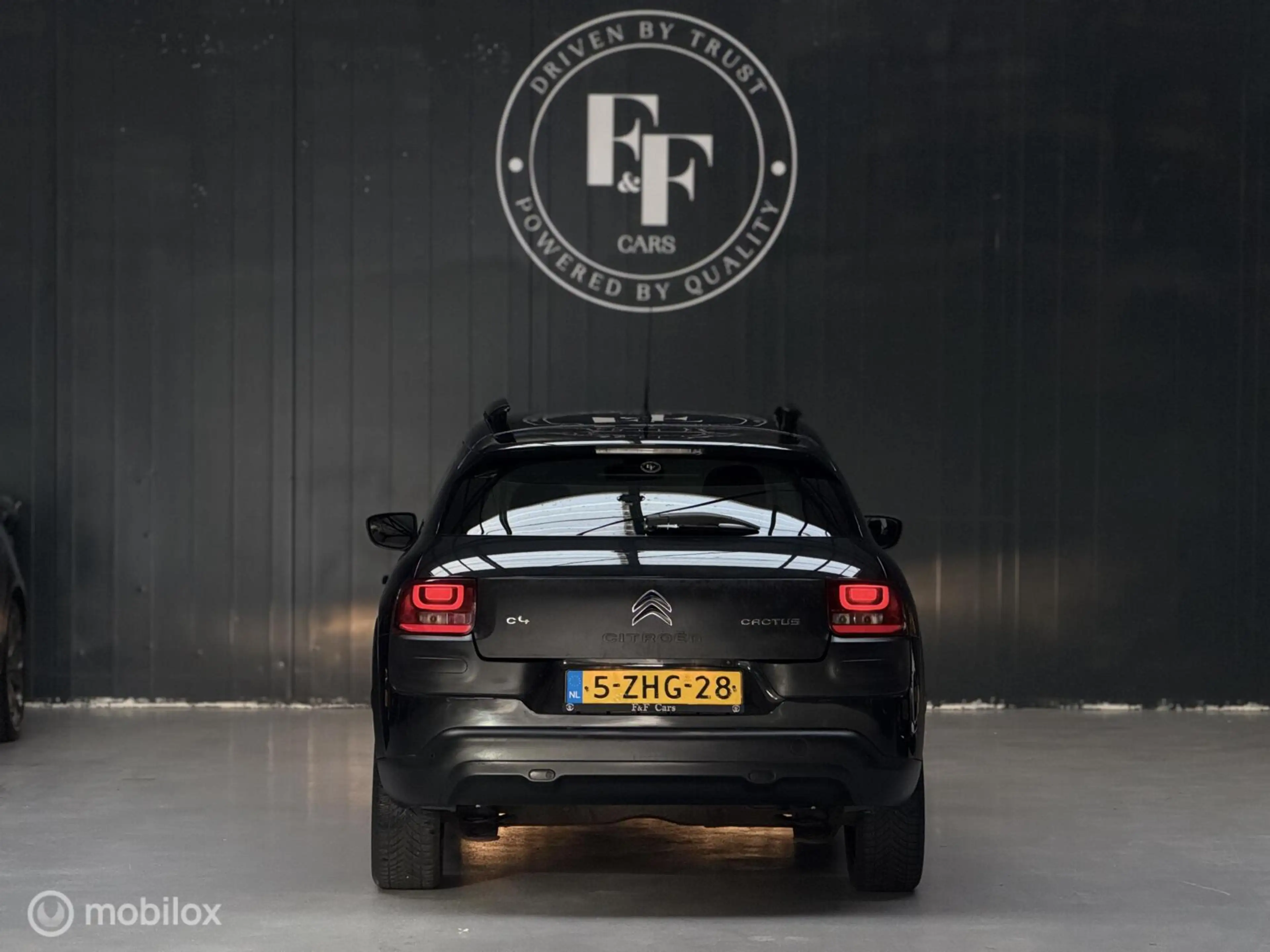 Citroen C4 Cactus 1.2 PureTech Shine — photo 19