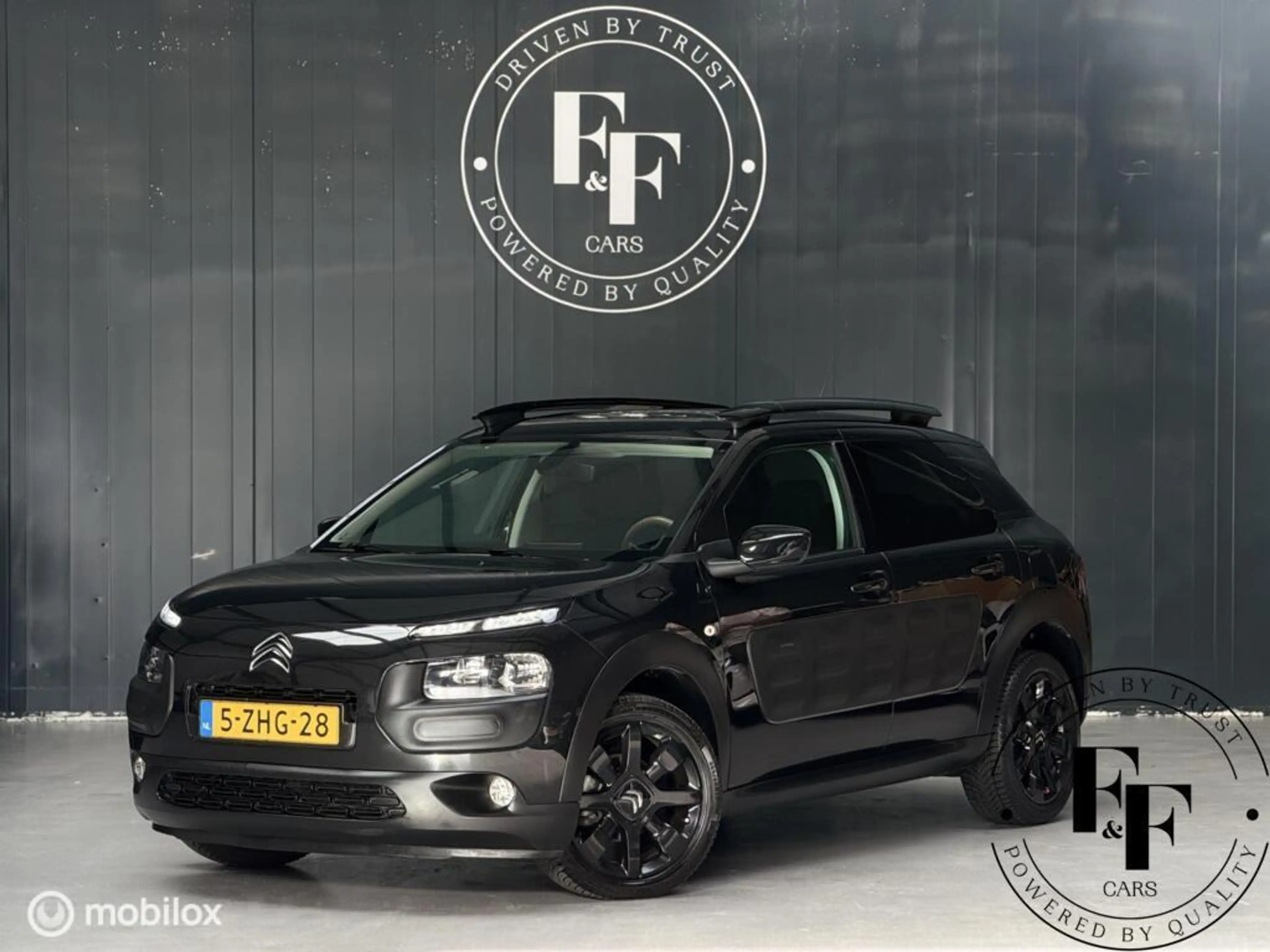 Citroen C4 Cactus 1.2 PureTech Shine — photo 4