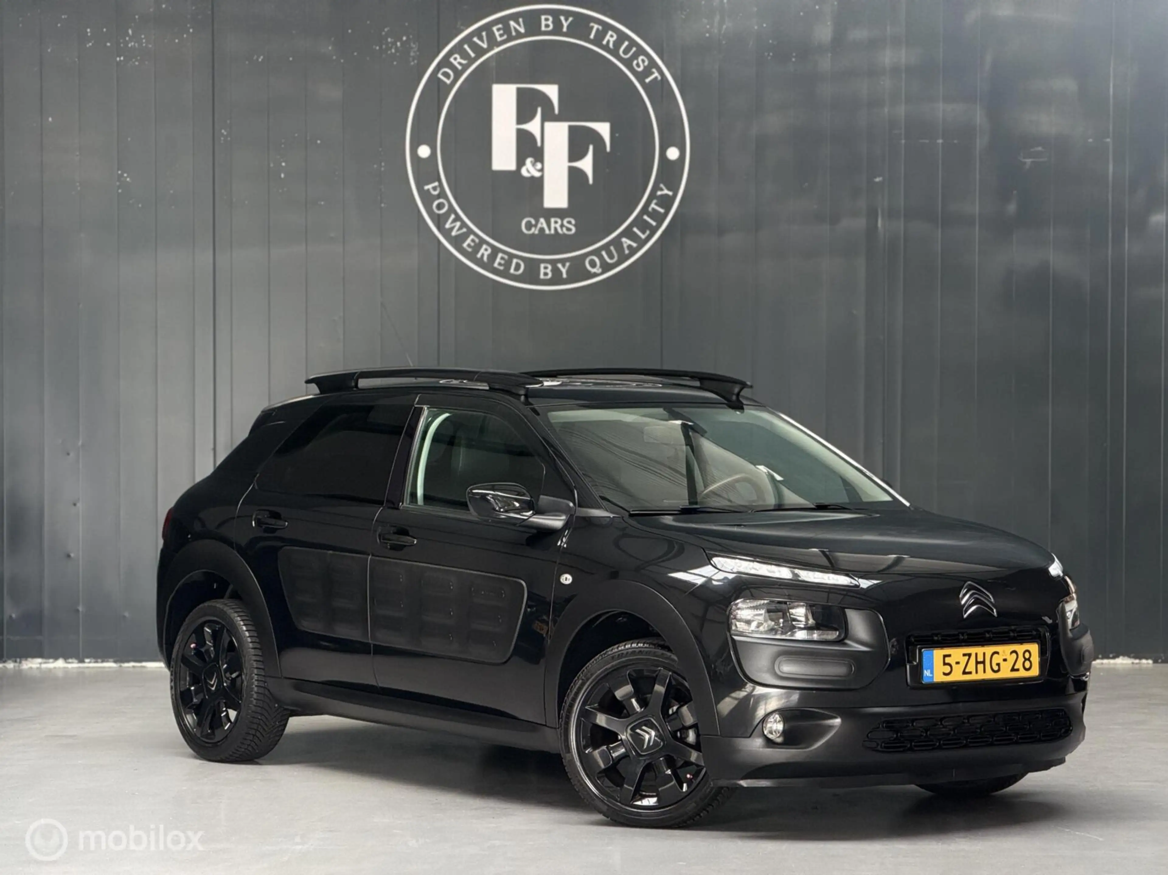 Citroen C4 Cactus 1.2 PureTech Shine — photo 9