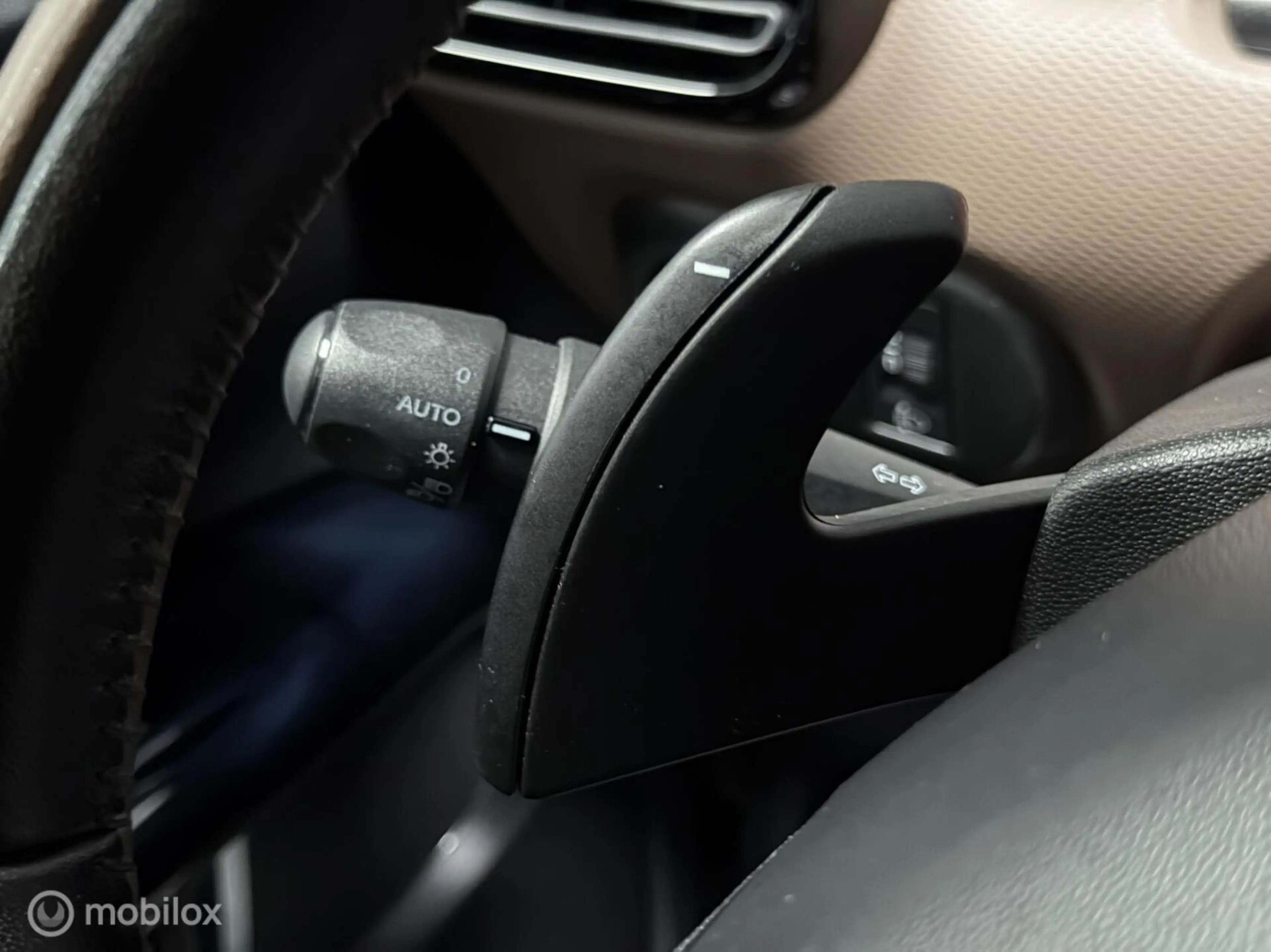 Citroen C4 Cactus 1.2 PureTech Shine — photo 48