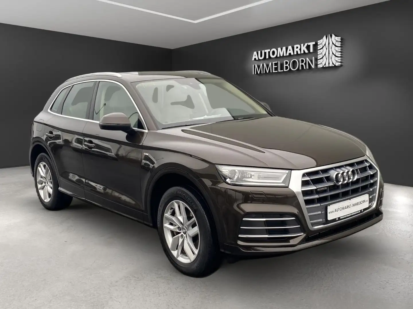 Audi Q5 e quatt S Line Pano*VollLeder*Navi*Xenon Braun - 1
