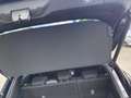 Ford Puma ST-Line, Autom, ACC, RFK, GJR, WinterP. Nero - thumbnail 12