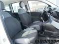 Fiat Panda 1.2 EASYPOWER GPL 69CV Bianco - thumbnail 12