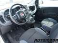 Fiat Panda 1.2 EASYPOWER GPL 69CV Bianco - thumbnail 9