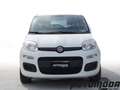 Fiat Panda 1.2 EASYPOWER GPL 69CV Bianco - thumbnail 2