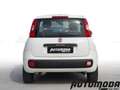 Fiat Panda 1.2 EASYPOWER GPL 69CV Bianco - thumbnail 5