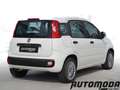 Fiat Panda 1.2 EASYPOWER GPL 69CV Bianco - thumbnail 4