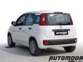 Fiat Panda 1.2 EASYPOWER GPL 69CV Bianco - thumbnail 6