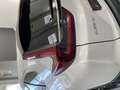 Honda CR-V 2.0 i-MMD Sport Line 4x2 Blanco - thumbnail 12