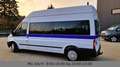 Ford Transit Kombi Kamera Standh. Perfekt für Umbau!! Weiß - thumbnail 3