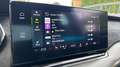 Skoda Octavia Octavia 2.0 TSI RS *HeadUp*Massage*AHK*Pano* Grau - thumbnail 39