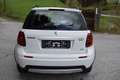 Suzuki SX4 4 WD Crossover wie neu garantie Weiß - thumbnail 8