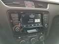 Skoda Octavia 1.4 TSI Joy PDC|SHZ|Klimaaut.|Temp. Blau - thumbnail 16
