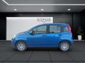 Fiat Panda Pandina III 2024 Pandina 1.0 firefly hybrid Pop s Blau - thumbnail 8