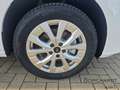 Ford Transit Connect Limited L2*2.0EcoBlue*GJR*-31%*AGR* Weiß - thumbnail 11