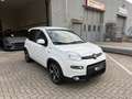 Fiat Panda 1.0 FireFly S&S Hybrid Sport Bianco - thumbnail 4