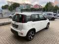 Fiat Panda 1.0 FireFly S&S Hybrid Sport Bianco - thumbnail 7