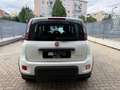 Fiat Panda 1.0 FireFly S&S Hybrid Sport Bianco - thumbnail 8