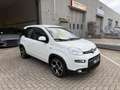 Fiat Panda 1.0 FireFly S&S Hybrid Sport Blanco - thumbnail 5