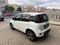 Fiat Panda 1.0 FireFly S&S Hybrid Sport Bianco - thumbnail 10