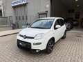 Fiat Panda 1.0 FireFly S&S Hybrid Sport Bianco - thumbnail 2