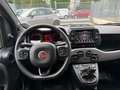 Fiat Panda 1.0 FireFly S&S Hybrid Sport Bianco - thumbnail 12