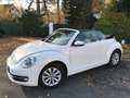 Volkswagen Beetle The Beetle Cabriolet 1.2 TSI BlueMotion Technology Weiß - thumbnail 8