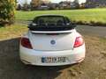 Volkswagen Beetle The Beetle Cabriolet 1.2 TSI BlueMotion Technology Weiß - thumbnail 2