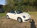 Volkswagen Beetle The Beetle Cabriolet 1.2 TSI BlueMotion Technology Weiß - thumbnail 1