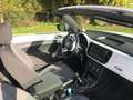 Volkswagen Beetle The Beetle Cabriolet 1.2 TSI BlueMotion Technology Weiß - thumbnail 6