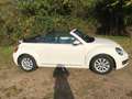 Volkswagen Beetle The Beetle Cabriolet 1.2 TSI BlueMotion Technology Weiß - thumbnail 4