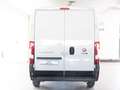 Fiat Ducato 290 35 2020 35 LH2 2.3 mjt 140cv E6d-temp Bianco - thumbnail 8