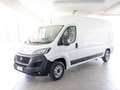 Fiat Ducato 290 35 2020 35 LH2 2.3 mjt 140cv E6d-temp Bianco - thumbnail 1
