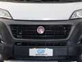 Fiat Ducato 290 35 2020 35 LH2 2.3 mjt 140cv E6d-temp Bianco - thumbnail 3