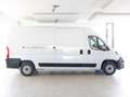 Fiat Ducato 290 35 2020 35 LH2 2.3 mjt 140cv E6d-temp Bianco - thumbnail 19