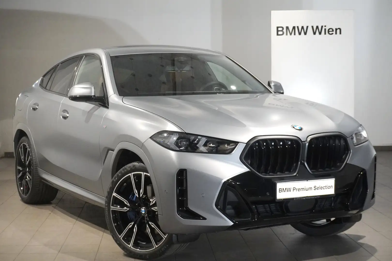 BMW X6 X6 xDrive30d Grau - 1