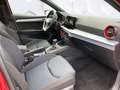 SEAT Ibiza 1.0 TSI DSG FR Navi SHZ ACC Panoramadach/ Rot - thumbnail 10