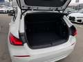 BMW 118 i Advantage DKG Erster Service Inclusive! Bianco - thumbnail 6