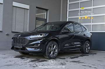 5 Duratec Plug-in-Hybrid PHEv Pickerl NEU
