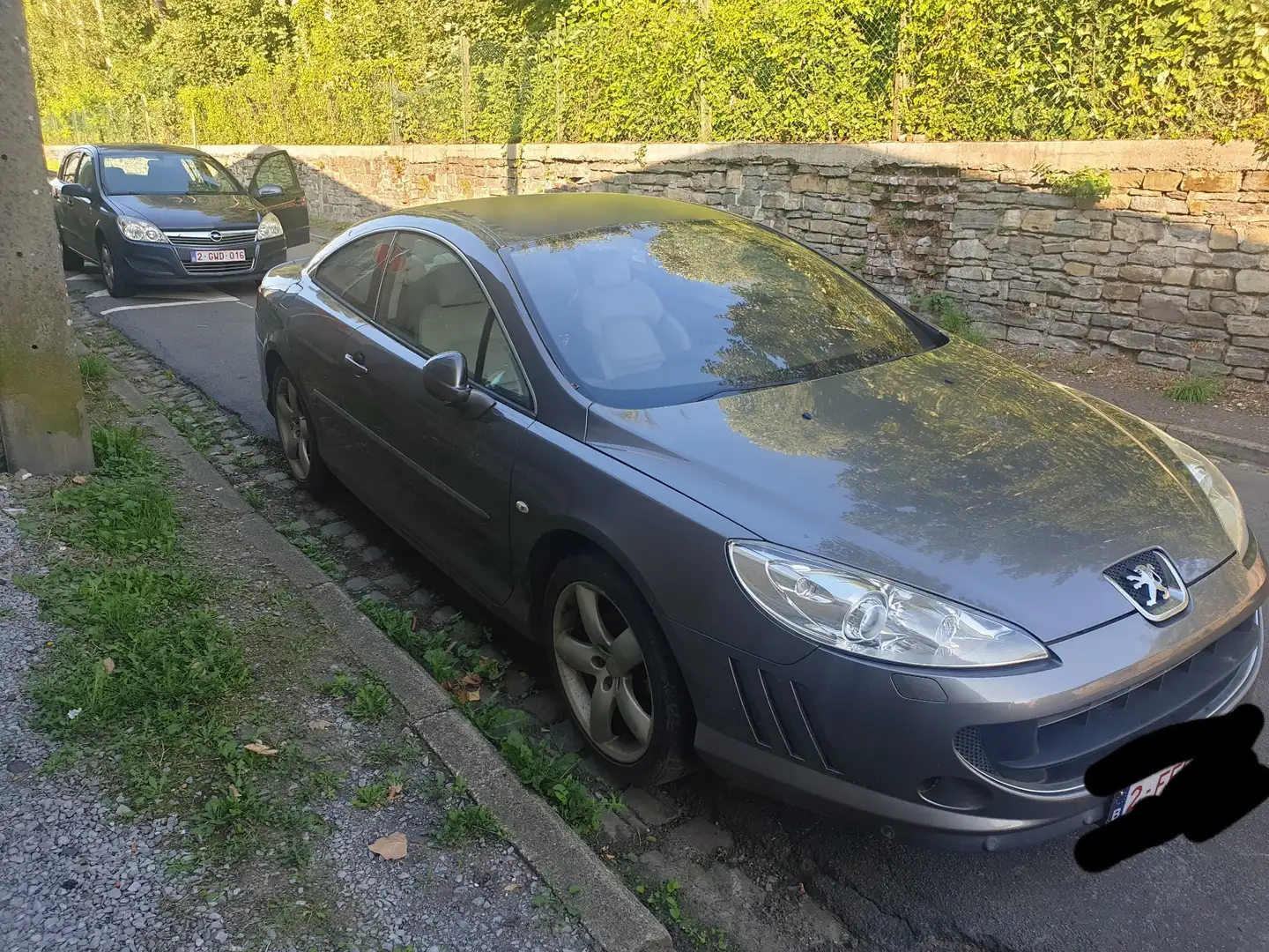 Peugeot 407 Coupé 2.0 HDi Pack FAP - 1